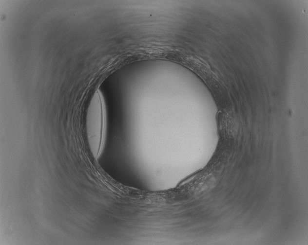 X0000073461009200607281026