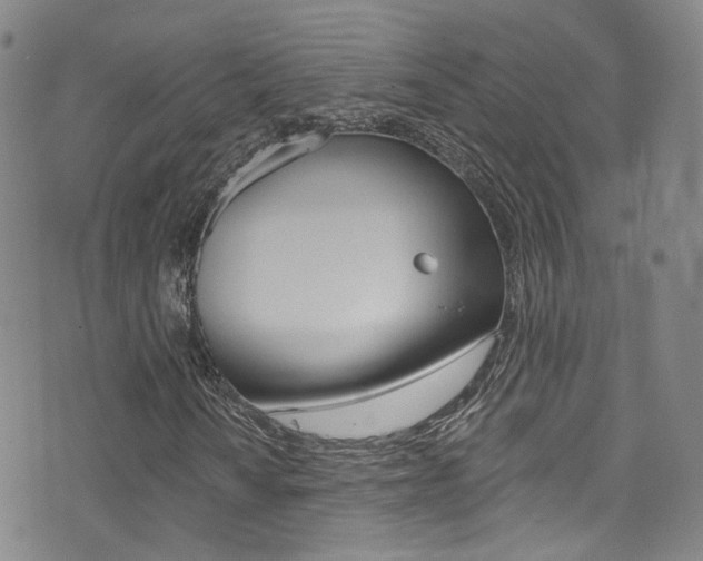X0000073461010200607281026