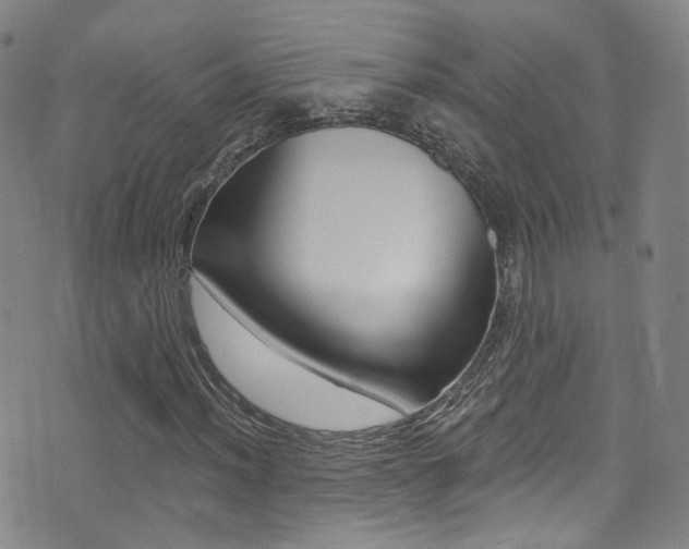 X0000073461012200607281026