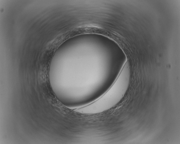X0000073461014200607281026