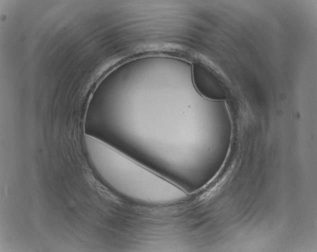 X0000073461025200607281026