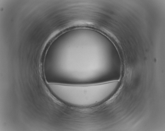 X0000073461029200607281026