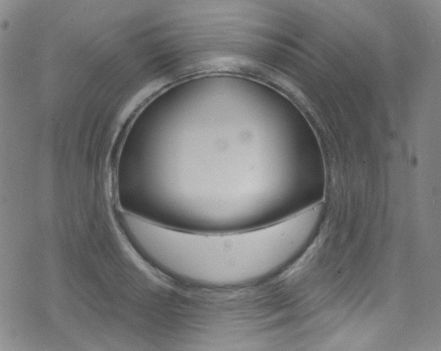 X0000073461034200607281026