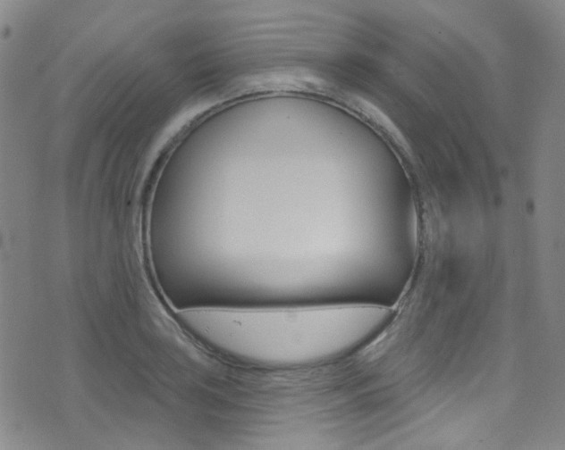 X0000073461035200607281026