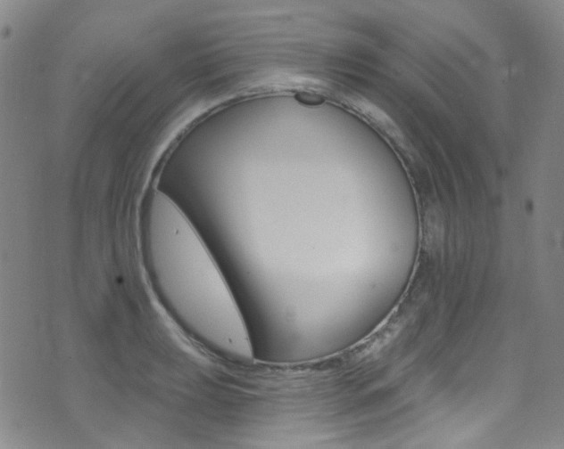 X0000073461039200607281026