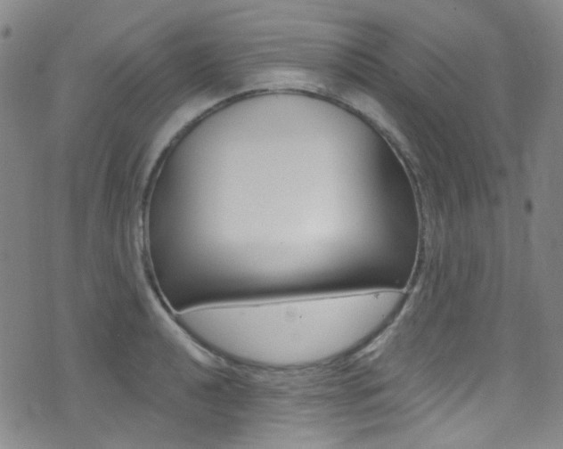 X0000073461040200607281026