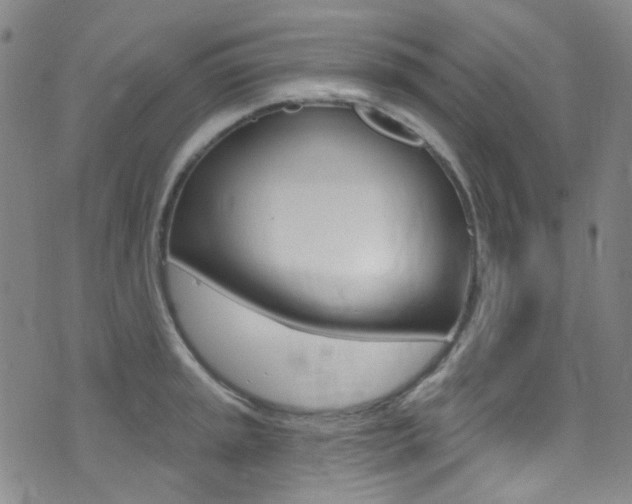 X0000073461045200607281026