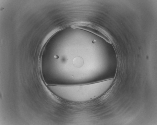 X0000073461050200607281026