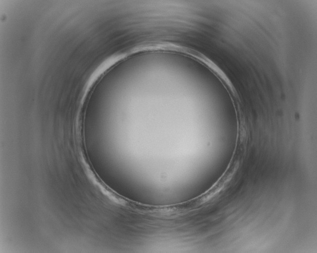 X0000073461053200607281026