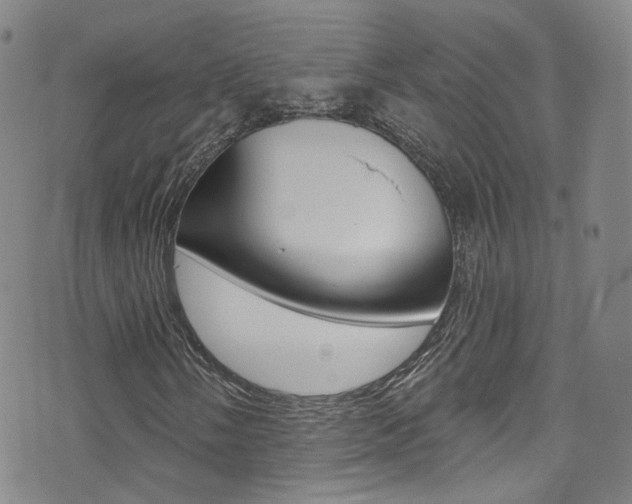X0000073461058200607281026