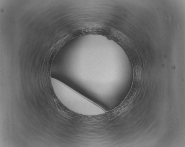 X0000073461060200607281026
