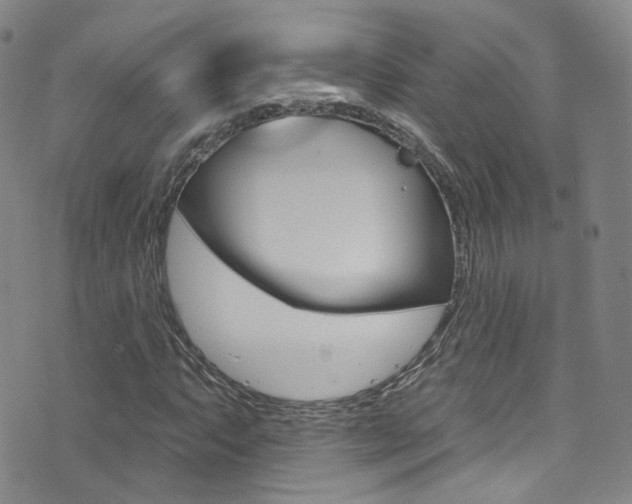 X0000073461063200607281025