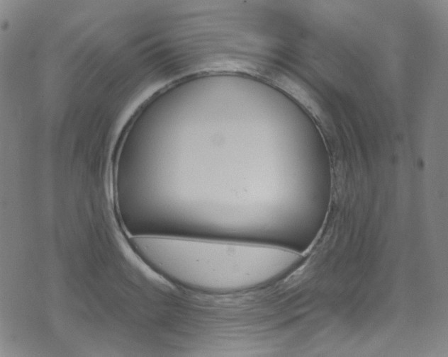 X0000073461084200607281025