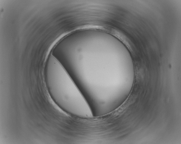 X0000073461092200607281025