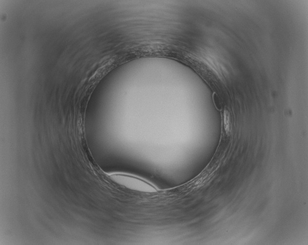 X0000073461107200607281024
