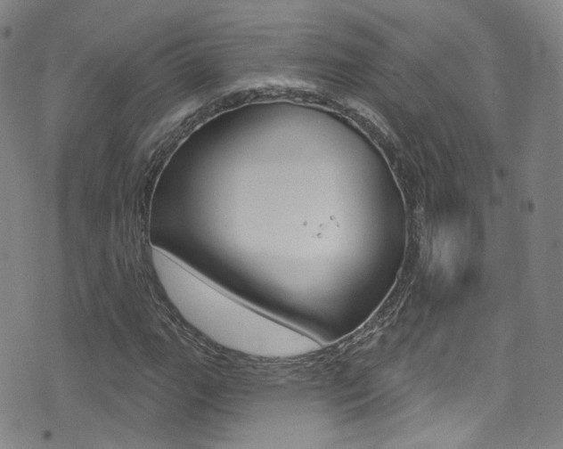 X0000073461111200607281024
