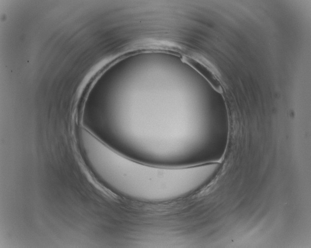 X0000073461128200607281024