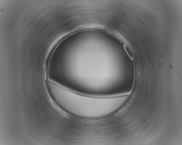 X0000073461132200607281024