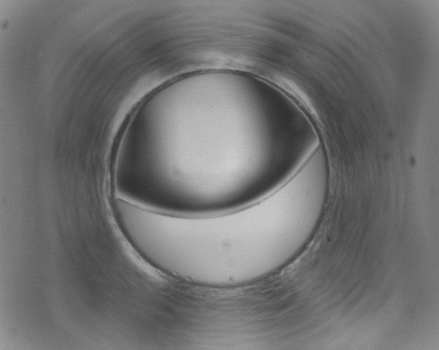 X0000073461136200607281025
