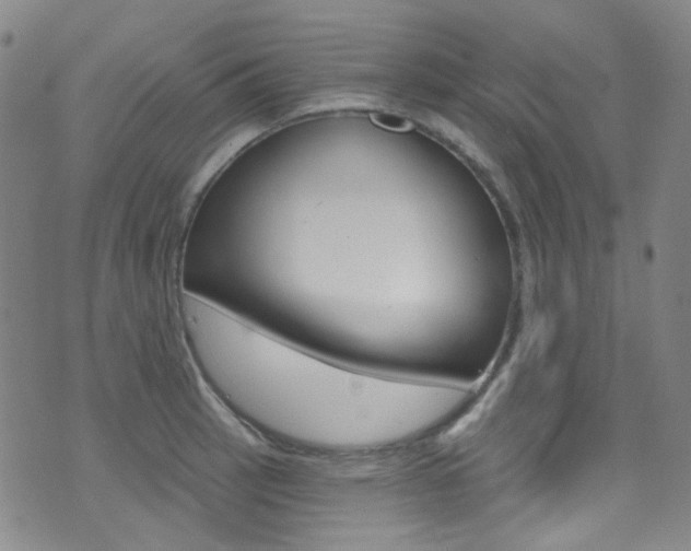 X0000073461137200607281025