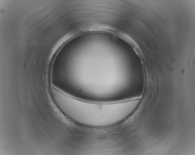 X0000073461138200607281025