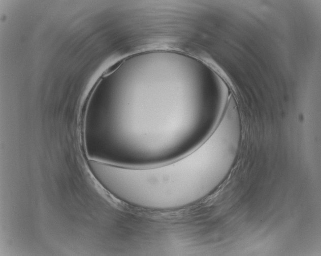 X0000073461148200607281025