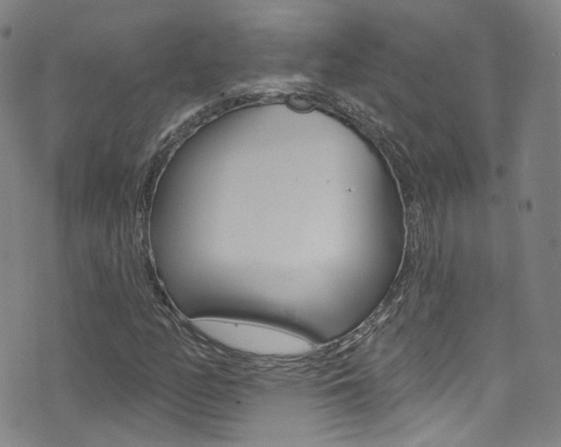 X0000073461158200607281024