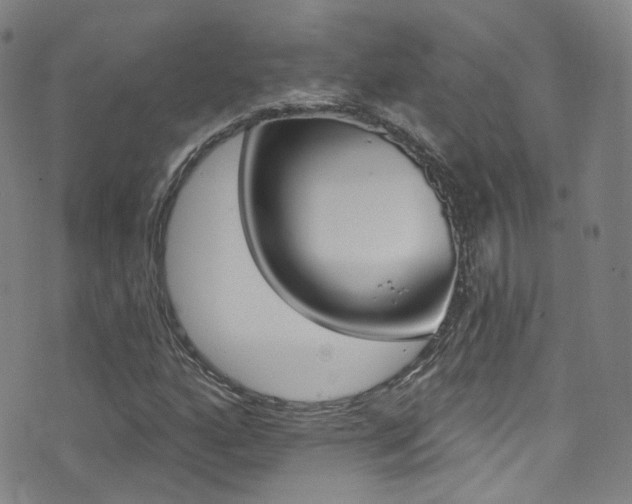 X0000073461160200607281024