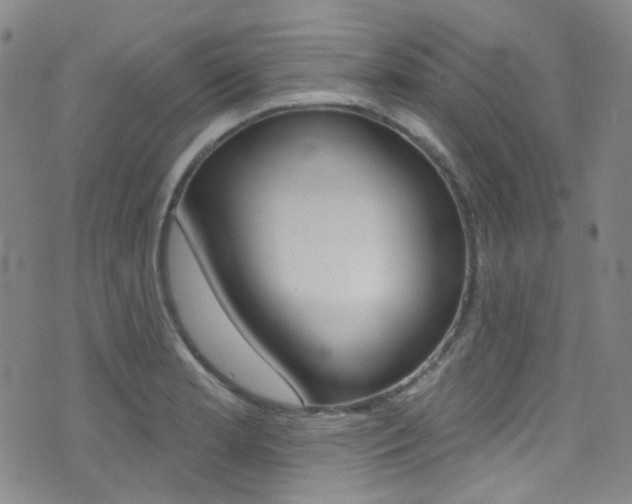 X0000073461181200607281024