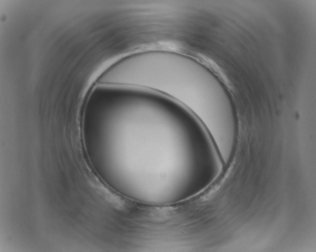 X0000073461184200607281024