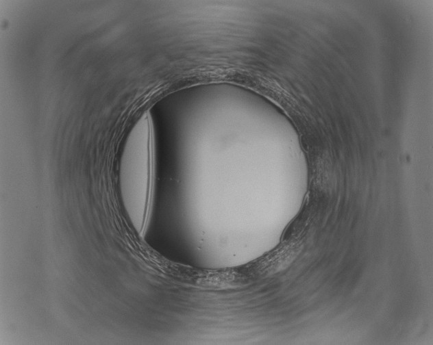 X0000073461201200607281022