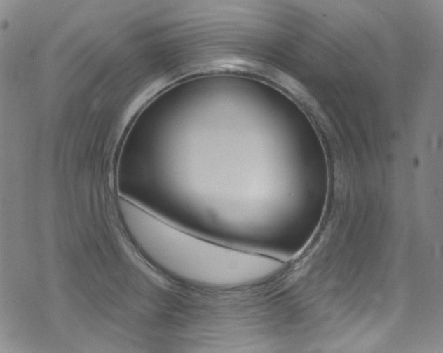 X0000073461234200607281023
