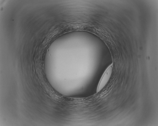 X0000073461249200607281022