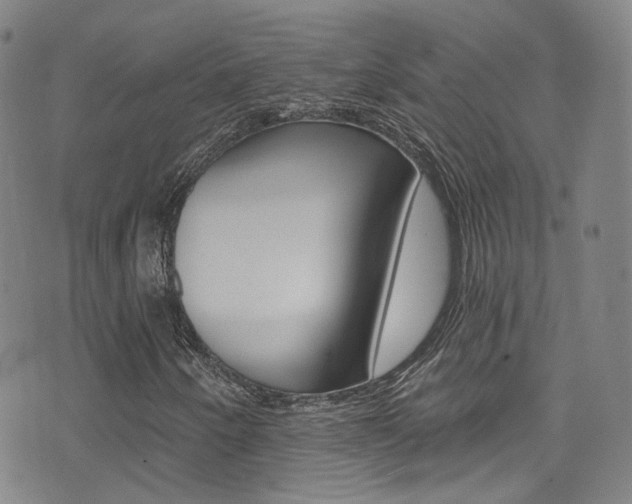 X0000073461250200607281022