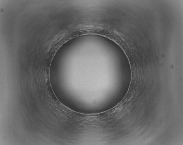 X0000073461253200607281022