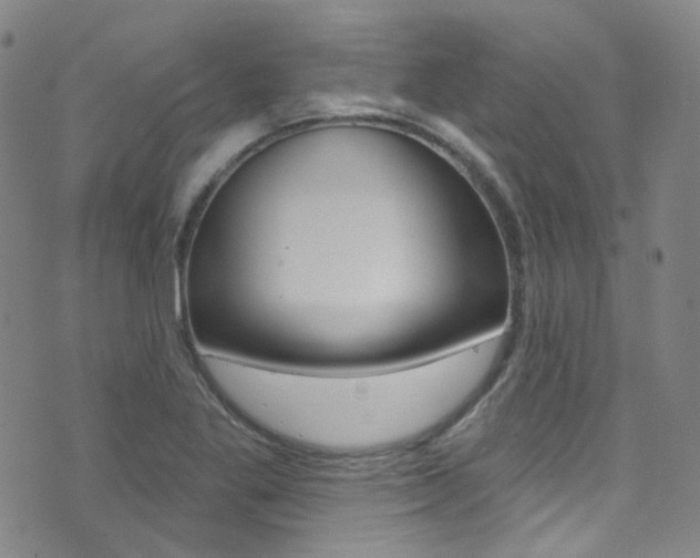 X0000073461269200607281022