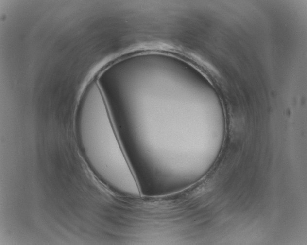 X0000073461272200607281022