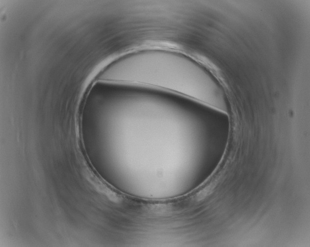 X0000073461280200607281022