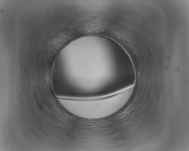 X0000073461300200607281021