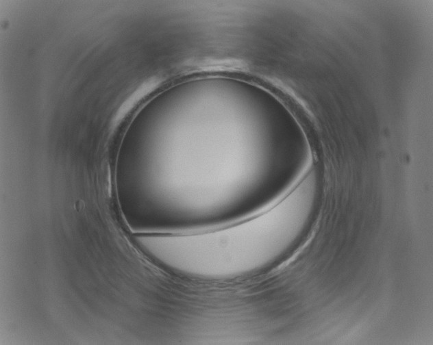 X0000073461317200607281021