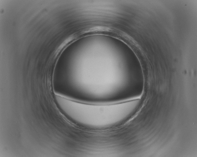 X0000073461321200607281021