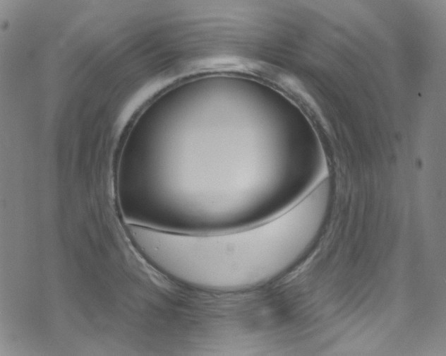 X0000073461328200607281021
