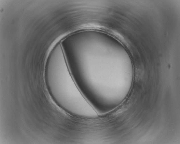 X0000073461331200607281021