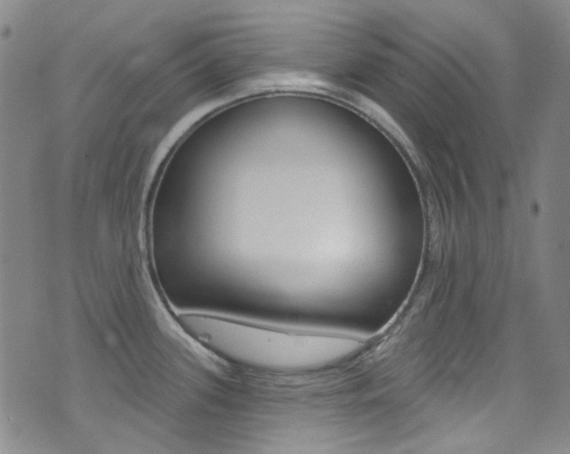 X0000073461339200607281022
