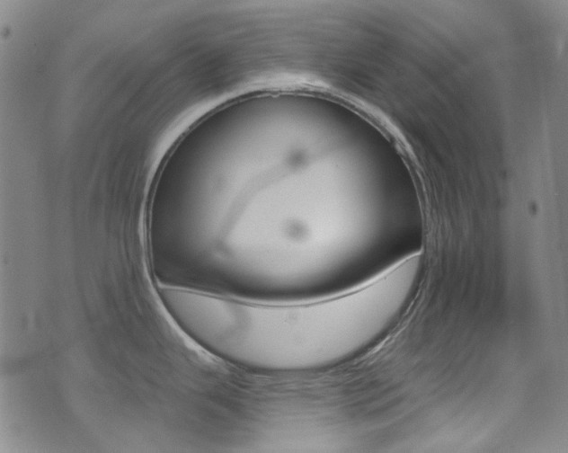 X0000073461343200607281022