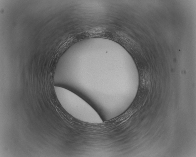 X0000073461346200607281021