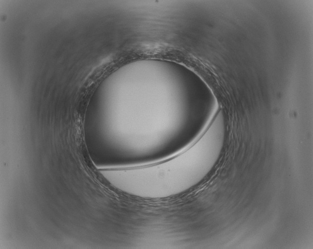 X0000073461349200607281021