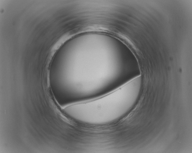 X0000073461371200607281021
