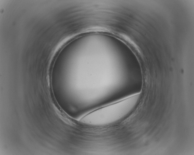 X0000073461372200607281020