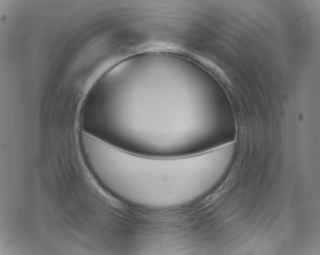 X0000073461375200607281020